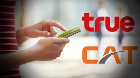 "ทรู" มอบตัว ดอดตีท้ายครัว "แคท"