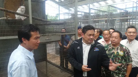 ผวจ.สมุทรสาครบุกจับหนุ่มใหญ่ เลี้ยงสัตว์ป่าคุ้มครองอ้างเพื่อสวยงาม