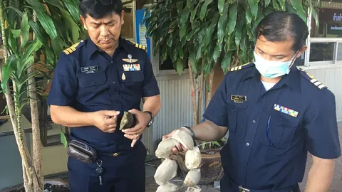 ด่านอรัญฯ สกัดเต่าภูเขา-งูเหลือมเผือก ซุกรถเข็นจากเขมรส่งขายจตุจักร