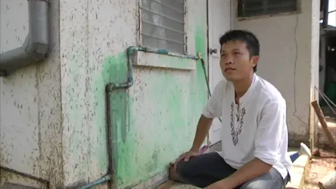 หนอนผีเสื้อนับล้าน คืบคลานเข้าบ้านหนุ่มพะเยา คาดมากินยอดอ่อนต้นประดู่