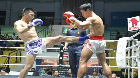 'วันเฉลิม' ประเดิมชัย! ซัดยอดวันดีน็อกยก3 มวยคู่เอกลุมพินี