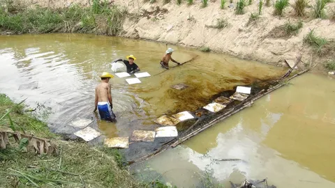 พบคราบน้ำมันลอยเต็มคลองสาธารณะ ที่ศรีราชา คาดมีคนแอบเอามาทิ้ง