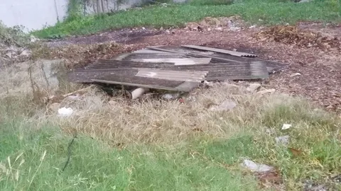 หนุ่มใหญ่แจ้ง ตร. พบเถ้ากระดูกถูกเผา หลังวัดแก้วพิทักษ์ฯ คาดเป็นพี่ชาย