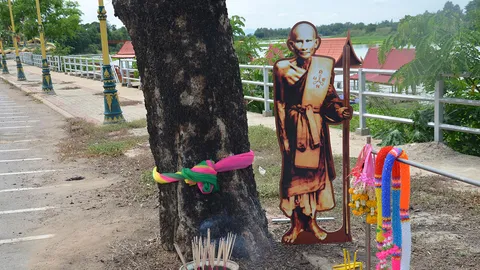 คนชัยนาทแห่ไหว้ รอยแตกต้นทิ้งถ่อนคล้าย 'หลวงปู่ศุข' ฮือฮาอาทิตย์ทรงกลด