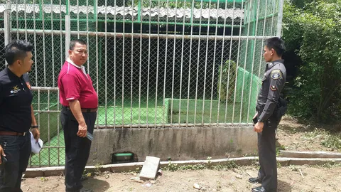 บุกอายัดเสือ 4 ตัว สงสัยแหล่งชำแหละ -ส.ป.ก.จ่อยึดคืนที่วัดหลวงตาบัว