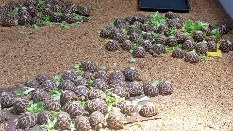 หน.สถานีเพาะเลี้ยงนกน้ำบางพระคนใหม่ เผยคนเก่าทำไว้ดีแล้ว จ่อเพิ่ม CCTV