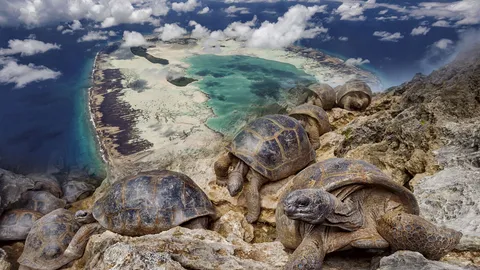 เซเชลส์ หมู่เกาะแดนสวรรค์