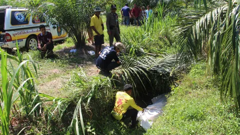 ยาย 88 ปี มีอาการหลงลืม เดินหายจากบ้าน พบเป็นศพในคูระบายน้ำ