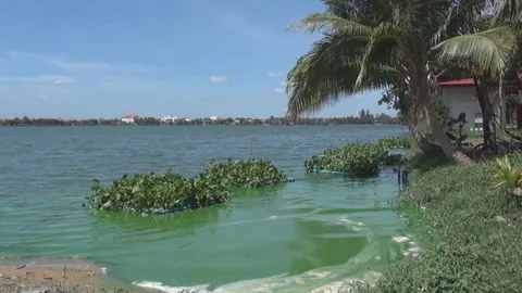 ปลัดคลายข้อสงสัย น้ำสีเขียวบึงขอนแก่น คือ แพลงก์ตอน ไม่อันตราย