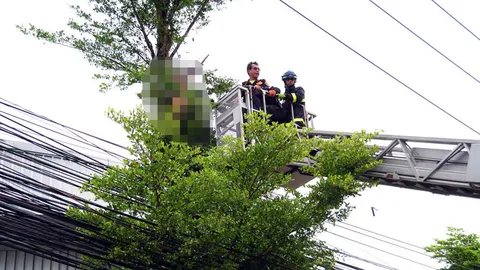 ดวงซวย! หนุ่มรับแต่งไม้ ขึ้นโค่นต้นหูกระจงกิ่งพาดสายไฟโดนช็อตดับ