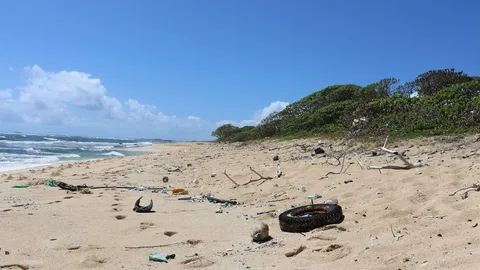 ขยะพลาสติกเป็น "ฟาสต์ฟู้ด"ของปลา