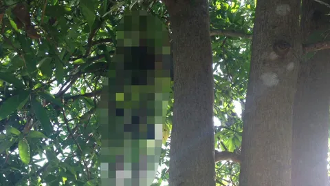 พลทหารเครียด ลูกป่วย 2 คน หาเงินรักษาไม่ได้ ใช้เชือกผูกคอจบปัญหา