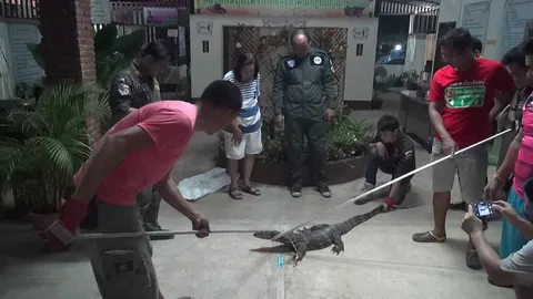 มาเป็นเทรนด์! ตัวเห้ย่องเข้าบ้าน ตร. หนองคาย แจ้งกู้ภัยช่วยจับ