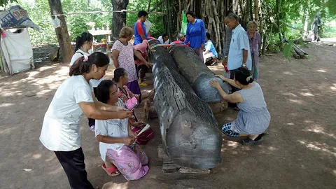 แสวงหาเลขเด็ด! คอหวยบูชาไม้มะค่า-ต้นตะเคียน ลือให้โชค 2 งวดติด 