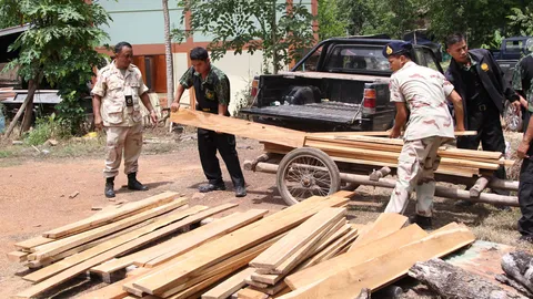 ทหารบุกค้นรังอดีตลูกจ้างป่าไม้ ซุกซ่อนไม้สักทองแปรรูปกว่า 300 แผ่น