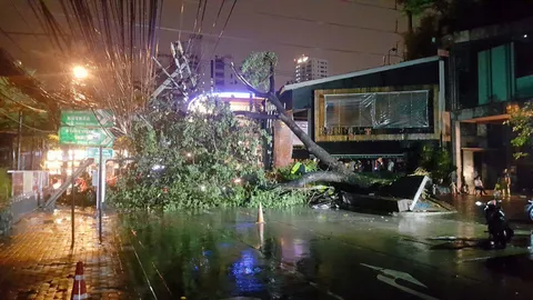 ต้นไม้ล้ม พาดเสาไฟฟ้า ซ.ทองหล่อ 10 ไฟดับวงกว้าง เร่งแก้