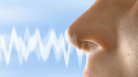 ดม "กลิ่นเต่า" ไล่ตามจับอาชญากร