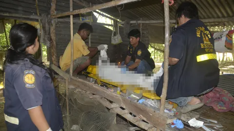 สาวเขมรรับจ้างกรีดยางในตราด ถูกตีหัวดับคากระท่อม ท่อนล่างเปลือย