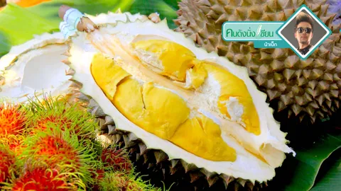 มนุษย์ทุเรียน