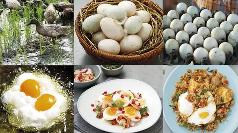 เยือนทุ่งกว้างแห่งบางเลน ปรุงเมนู “ไข่เป็ดไล่ทุ่ง” แสนอร่อย