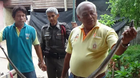 ตำรวจจับงู! รอง สวป.คว้าคอ ‘เห่าดง’ ตัวเป้ง บุกรุกเคหสถาน