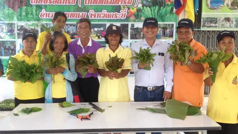 ชาวกระบี่ตั้งศูนย์เกษตร ปลูกผักตัดยอดขาย รายได้กว่าวันละ 300 บาท
