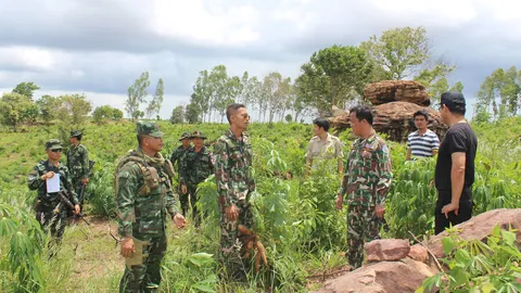 จนท.อุทยานทับลาน ลุยทวงพื้นที่ป่าคืน หลังพบมีผู้บุกรุก กว่า 30 ไร่ 