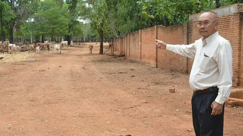 วัดป่าตาบัว ตั้งผู้ดูแลวัดใหม่สู้คดี โอดภาระเลี้ยงสัตว์กว่า 4 พันตัว