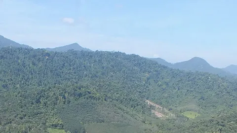 หนุ่มอุบลฯ เข้าไปหาของป่าเขตอุทยานฯ ถูกหมีกระโจนกัด เจ็บสาหัส 