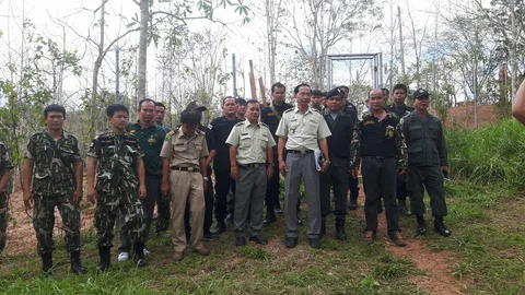 ตรวจยึดเนื้อทราย 33 ตัว ในสวนป่าห้วยศอก จ.เลย คนดูแลอ้างหลงมาเอง