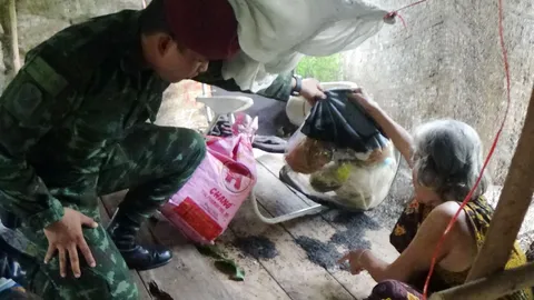 แมลงกระเบื้องนับล้าน บุกบ้านยายวัย 72 ที่อ่างทอง เร่งพ่นยากำจัด