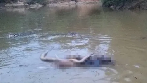 ศพหนุ่มอยู่กับงูเหลือม ส่อถูกฆ่าทิ้งคลอง! มีรูกระสุน-มัดมือไพล่หลัง  