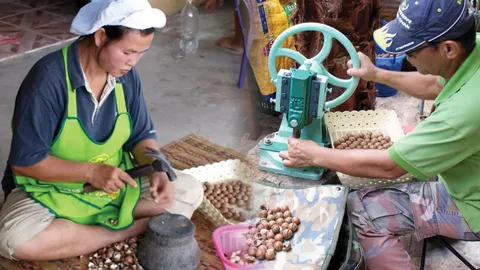 เครื่องกะเทาะกะลา เพิ่มมูลค่า..ราชาถั่ว