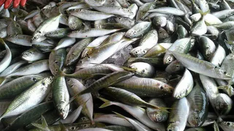 พณ. ลุ้น มะกันยกไทยขึ้น 2 Watch List ค้ามนุษย์ ชี้ ส่งผลดีต่อสินค้า