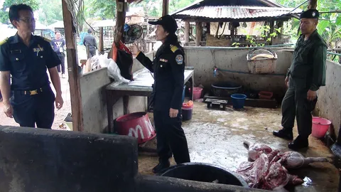 ปศุสัตว์สกลนคร ทลายโรงเชือดเถื่อน ตะลึงชำแหละหมูบนพื้น-แมลงวันตอมหึ่ง