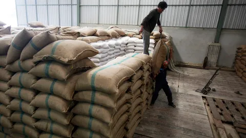 พณ เตรียมออก TOR ประมูลข้าวเสื่อมเข้าอุตฯ 4 แสนตัน 6 ก.ค. นี้