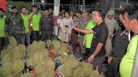 ลุยตรวจล้งที่ชุมพร คืนแรกเจอ ทุเรียนอ่อนอื้อ! จนท.ตักเตือน