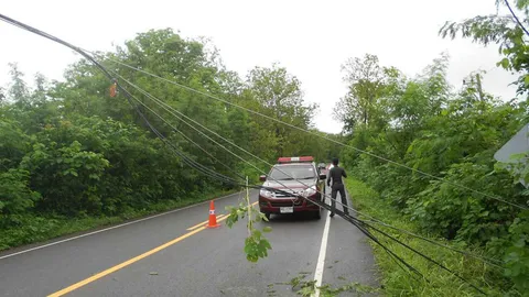 หนุ่มวังชิ้นสุดซวย พายุทำต้นไม้ล้มทับเสา สายไฟฟาดเข้าที่คอดับคาถนน