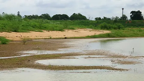 น้ำเข้าบึงบอระเพ็ด หลังฝนตกนครสวรรค์ แต่ยังอยู่ในเกณฑ์ต่ำ