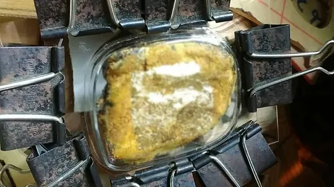 แปลกแต่จริง! คนพะเยาเชื่อ 'รกแมว' มีคุณวิเศษให้โชคลาภกับผู้ครอบครอง