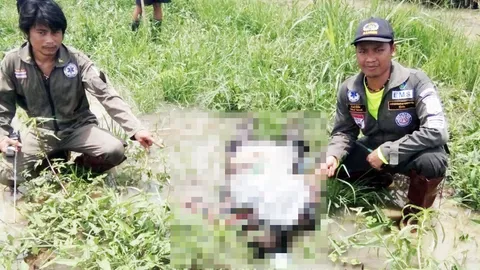 หนุ่มสุโขทัย ออกจับกบกลางดึกช่วงฝนตก เช้ามาเป็นศพ คาดหนาวจนช็อก!