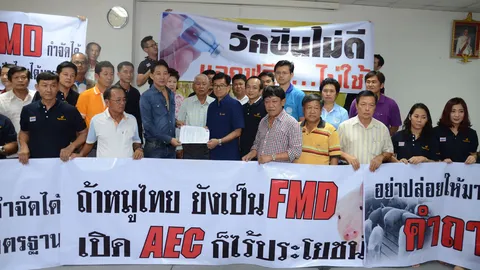 สมาคมสุกรถามหามาตรฐานวัคซีน ร้องรัฐแก้ปัญหาโรคปากเท้าเปื่อยในสัตว์