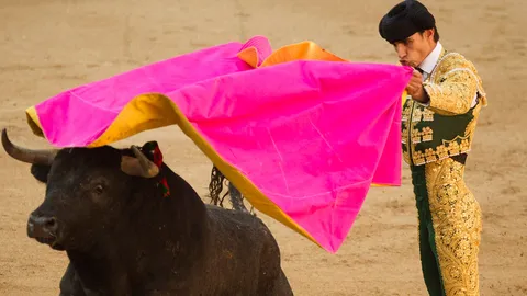 สลด! นักสู้วัวสเปนถูกกระทิงขวิดตายคาสนามขณะถ่ายทอดสด