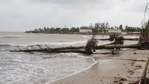 อันดามันเผชิญมรสุม คลื่นสูงกว่า 2 เมตร! ซัดต้นมะพร้าวล้ม ขยะเต็มหาด  
