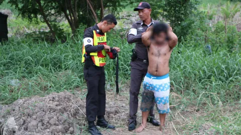 กว่าจะรวบได้!! หนุ่มเสพยาขับกระบะ แหกด่านตร. พุ่งชนรถชาวบ้านพัง 7 คัน