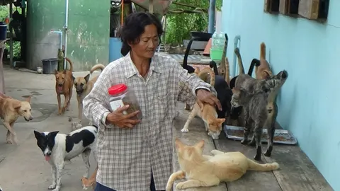 'ป้าจิ๋ม'ใจบุญ เก็บหมา-แมวจรจัดเลี้ยงร่วม 100 ตัว ขอรับอาหารไม่รับเงิน