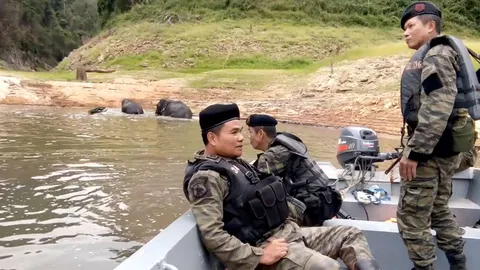 ขออาบน้ำก่อน! ช้างป่าสุดดื้อ ยกโขลงกินทุเรียน ชาวสวนโวยไม่มีใครช่วย 