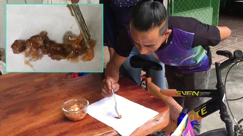  กิ้งกือหรือซาร์ดีน...เป็นท่อน ยาว ยืดหยุ่น เจอในปลากระป๋อง!