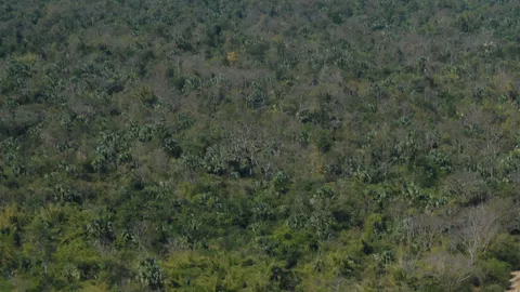 ฮุบทางสาธารณะ! ที่ดินโคราช จ่อชงถอนโฉนดฟาร์มดังปากช่อง 10 แปลง