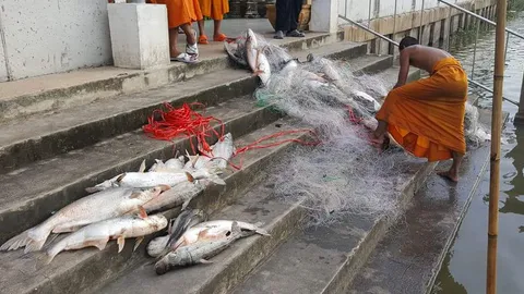 ปลายตายเกลื่อนหน้าวัด ย่านคลองรังสิต หลังมีคนแอบเอาตาข่ายมาดักจับ